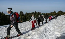 Randonnée menée par Claire Gjurasevic le long des pistes de la montagne du Semnoz dans le massif des Bauges près d'Annecyen Haute-Savoie, le 26 février 2021