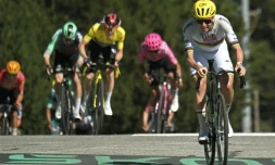Tadej Pogacar franchit la ligne d'arrivée de la 3e étape du Tour de France en vainqueur, le 6 juillet 2026 aux Angles