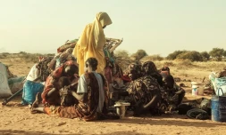 Des Soudanais déplacés ayant fui le camp de Zamzam, dans la région du Darfour, près de la ville de Tawila le 14 février 2025 au Soudan