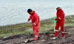 Des collecteurs de déchets informels, connus en Tunisie sous le nom de " barbéchas", ramassent des bouteilles en plastique sur la plage des îles Kerkennah, à environ 20 km de la ville portuaire de Sfax, le 3 août 2023