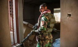 Un combattant peshmerga surveille des positions hostiles dans un immeuble de Bashiqa, le 9 novembre 2016 en Irak