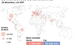 Le monde face au coronavirus