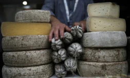 Des fromages et saucissons au Terra Madre Salone del Gusto du mouvement Slow Food Ă Turin le 22 septembre 2016