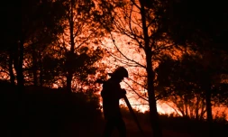 Un pompier lutte contre un incendie, le 19 août 2007 près de Carnoux-en-Provence dans les Bouches du Rhône