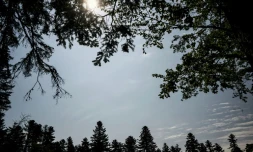 Un nouvel épisode de fortes chaleurs arrive sur la France avec sept départements en vigilance orange canicule dans le Sud