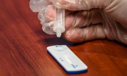 Neuf premiers cas de Covid-19 ont été détectés dimanche en Nouvelle-Calédonie où un confinement strict de deux semaines a été annoncé par le président du gouvernement local et le haut-commissaire de la République