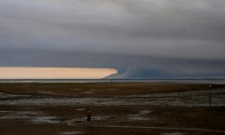 Un homme marche sur une plage d'Andernos au bord du bassin d'Arcachon, au fond duquel s'élèvent les fumées de l'incendie de Biscarosse, le 23 juillet 2026