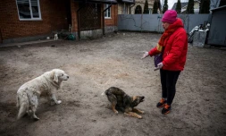 Irina Morozova, une habitante d'Irpin (nord-ouest de Kiev), le 13 mars 2022