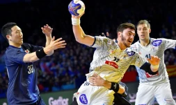 Le Français Ludovic Fabregas face au Japon lors du Mondial, le 13 janvier 2017 à Nantes