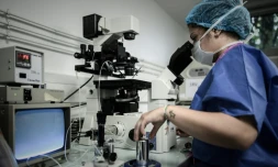 Le laboratoire CECOS, l'unité de procréation médicalement assistée (PMA) de l'Hôpital Tenon (AP-HP), le 24 septembre 2019 à Paris
