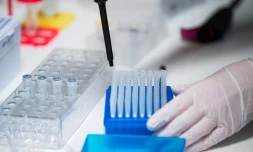 Les signes encourageants se multiplient ces derniers jours autour des traitements à base d'anticorps de synthèse contre le Covid-19