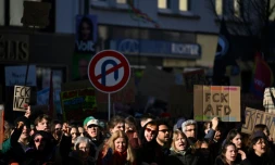 Manifestation contre le parti d'extrême droite allemand AfD à Neu-Isenburg, près de Francfort, dans l'ouest de l'Allemagne, le 1er février 2025