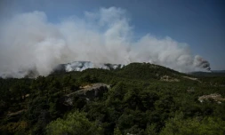 Un incendie fait rage dans la forĂȘt de Dadia, prĂšs d'Alexandroupoli, dans le nord de la GrĂšce, le 24 aoĂ»t 2023