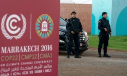 Des forces de sécurité sur le site de la COP22, le 9 novembre 2016 à Marrakech