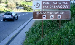 Le Parc national des calanques doit lutter contre la surfréquentation, photo du 17 mars 2021 à Marseille.