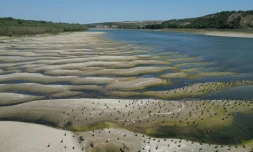 Photo des rives asséchées du Danube à Rasova en Roumanie, le 13 août 2026