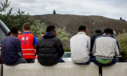 Des migrants attendent aux côtés d'un employé de l'Office français de l'immigration et de l'intégration le 16 août 2017 à Calais