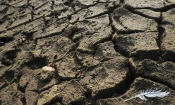 Les experts climat du Giec se penchent lundi sur un rapport pouvant permettre de limiter le réchauffement de la planÚte