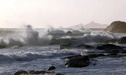 Une touriste allemande est décédée dimanche à Porto-Vecchio, en Corse-du-Sud, "emportée par les vagues" alors qu'elle se promenait sur la plage