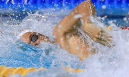 Yannick Agnel sur 200 m libre lors des Championnats de France, le 30 mars 2016 à Montpellier
