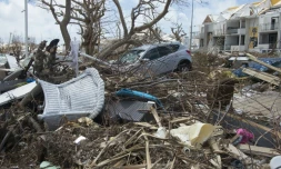 Une voiture dans les arbres au bord d'une plage de l'île française de Saint-Martin dans la Caraïbes, le 16 septembre 2017