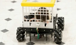 Un rat conduit une voiture miniature à l'université américaine de Richmond, en Virginie, le 2 août 2022