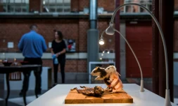 Le cochon d'Inde, une spécialité culinaire du Pérou, le 7 novembre 2018 au "Musée de la nourriture dégoûtante" à Malmö en Suède