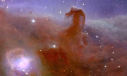 Image astronomique non datée de la nébuleuse de la Tête de Cheval diffusée le 2 novembre 2023 par l'Agence spatiale européenne (ESA) et prise lors de la mission spatiale Euclid de l'ESA