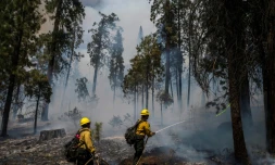 Des pompiers luttent contre un incendie dans le parc national de Yosemite en Californie, le 11 juillet 2022