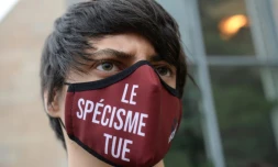 Un militant animaliste manifeste devant le tribunal du Mans en marge du procès de neuf militants accusés de dégradations dans des élevages, le 28 janvier 2022