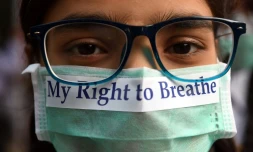 Un jeune Indien porte un masque pour éveiller les consciences au sujet de la pollution de l'air à New Dehli le 15 novembre 2017