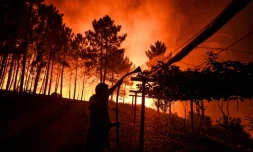 Un habitant arrose sa maison pour essayer de la protéger de l'incendie qui s'en approche, le 21 juillet 2019 à Amendoa, au Portugal