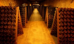 Des bouteilles de champagne stockées sous l'avenue de Champagne à Epernay, le 13 décembre 2019