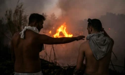 Deux personnes se tiennent devant l'incendie à Penteli, dans la banlieue d'Athènes, le 12 août 2024