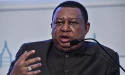 Le secrétaire général de l'Opep Mohammed Barkindo à Istanbul le 12 juillet 2017