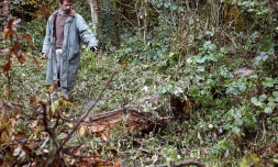 Le 29 octobre 2003, l'agriculteur Philippe Gava montre l'endroit de la découverte des corps de quatre bébés, quelques jours plus tôt, dans la forêt de Galfingue (Haut-Rhin)