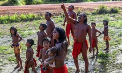 Des Indiens Waiapi regardent un avion survoler leur village de Manilha, au coeur de la forêt amazonienne, le 15 octobre 2017