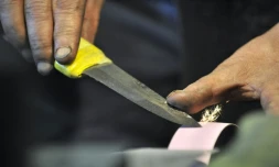 Quatre jours après la mort de Kevin, 17 ans, poignardé à mort dans un parc à Mourmelon-le-Grand (Marne), l'enquête a débouché le 6 juin 2018 sur la mise en examen pour assassinat de deux mineurs