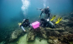 Le biologiste Kullawit Limchularat (g), dit Aum, relĂąche avec d'autres plongeurs des requins bambous au large de Phi Phi, en ThaĂŻlande, le 25 novembre 2021