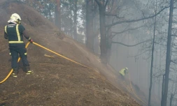 Des pompiers tentent d'éteindre le feu sur le mont Teide, à Tenerife, dans les Canaries, le 22 août 2023