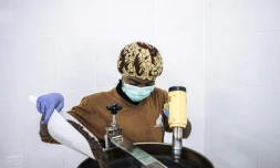 Début de processus pour les fèves de cacao à la chocolaterie de Virunga Origins, à Mutwanga le 18 novembre 2020