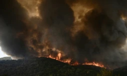 Incendie de forĂȘt Ă Sikorahi, prĂšs d'Alexandroupoli, le 23 aoĂ»t 2023 dans le nord de la GrĂšce