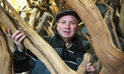 Depuis plus de 30 ans, Hervé Mayon, ancien dessinateur industriel façonne des arbres semi-artificiels destinés à la décoration d'événements ou de scènes de théâtre.