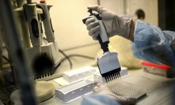 Une technicienne travaille sur le séquençage du génome du Sars-CoV-2 et de ses variants à l'Institut Pasteur, le 21 janvier 2021 à Paris