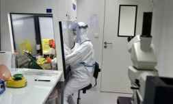 Il traque les cellules souches cancéreuses pour mesurer très tôt l'agressivité de la maladie: un kit de détection précoce élaboré par un petit laboratoire creusois sera commercialisé en septembre pour le cancer colorectal, avant de cibler d'autres organes.