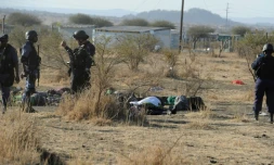 Des policiers devant des corps de manifestants sur lesquels ils ont ouvert le feu près de la mine de Marikana (Afrique dus Sud) le 16 août 2012