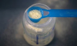 Du lait infantile en poudre le 29 janvier 2026 à Quimper