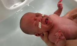 Photo non datée du bébé qui pesait 268 grammes à sa naissances, divulguée par l'Hôpital universitaire Keio de Tokyo le 27 février 2019