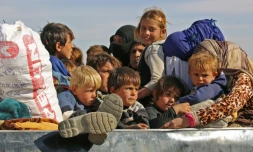 Des familles syriennes fuient les zones contrôlées par le groupe Etat islamique, le 8 novembre 2016 à Ain Issa, à 50 km au nord de Raqa