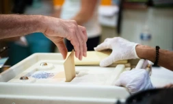 Le gouvernement confirme qu'il privilégie "à ce stade" le maintien en juin des élections régionales et départementales